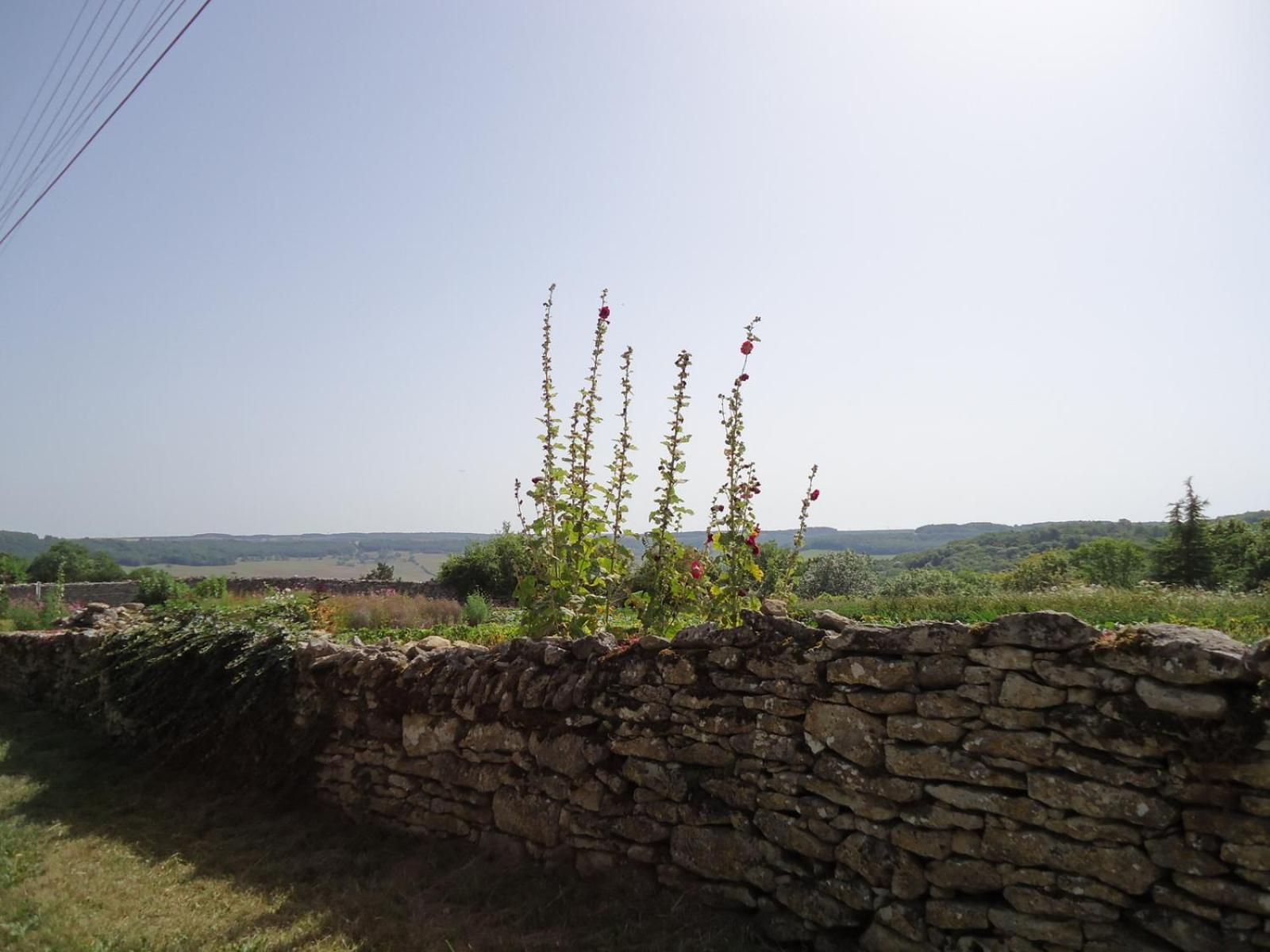 La Maison De Pierre Flavigny-sur-Ozerain Exterior foto